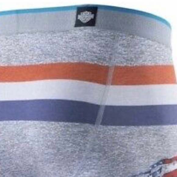 Stance Harley Davidson Home Grown Boxer Briefs - Picture 7 of 7